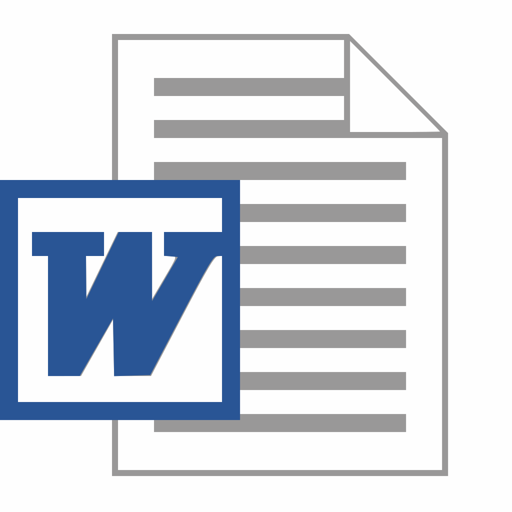 Microsoft Word Document
